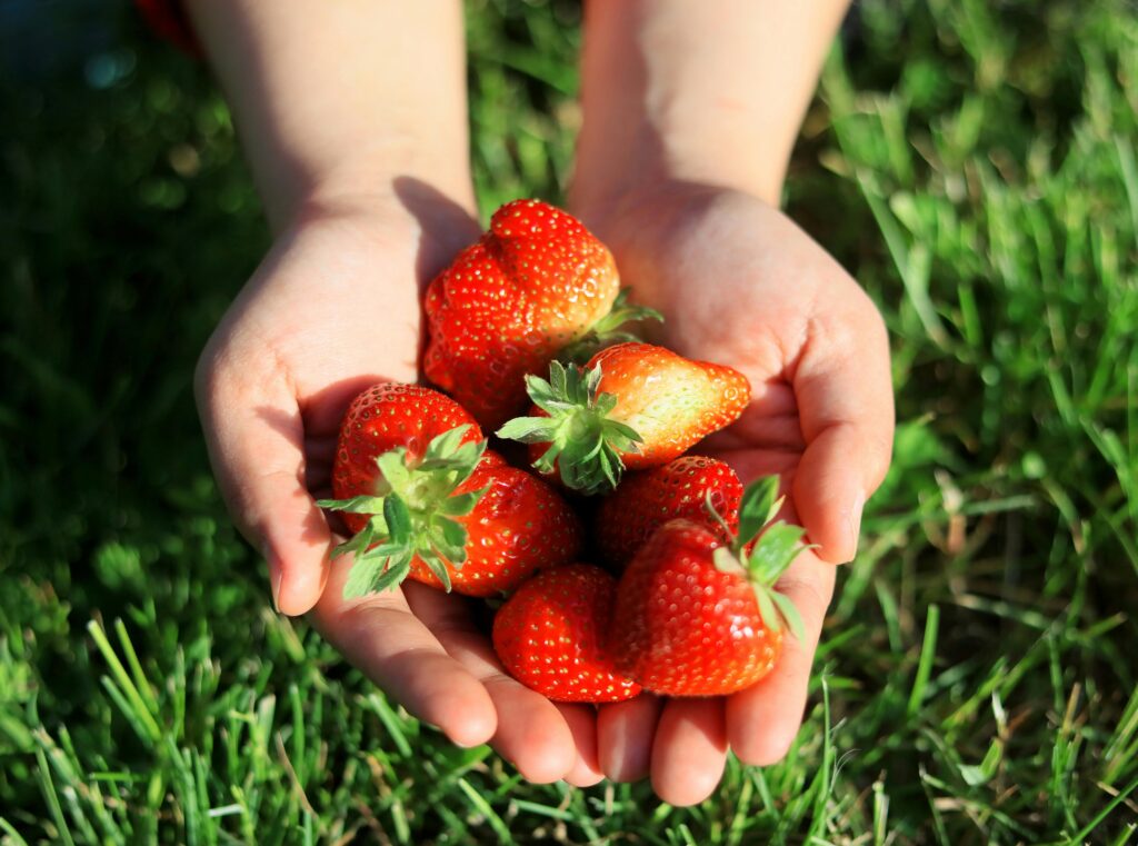 Strawberry Fields