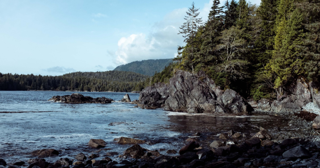 Beaches, Old-Growth Forests, and Sparkling Waters