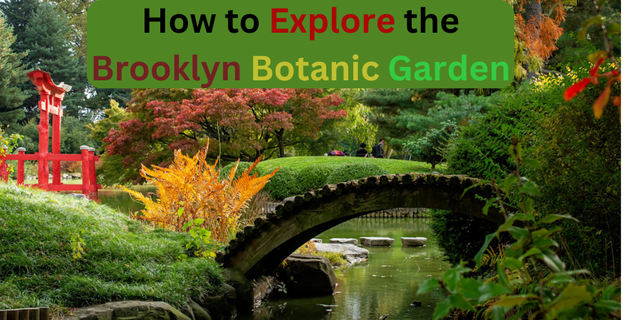 How to Explore the Brooklyn Botanic Garden