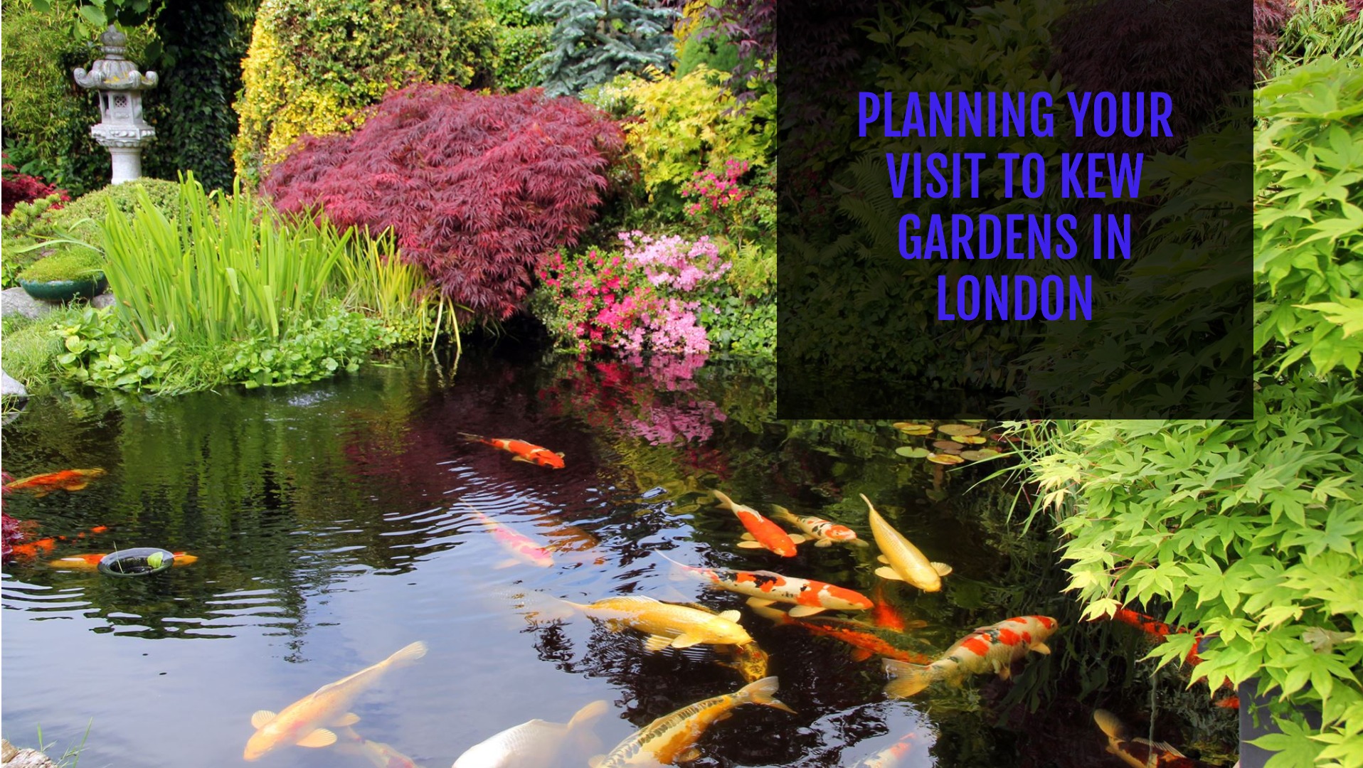 Planning Your Visit to Kew Gardens in London