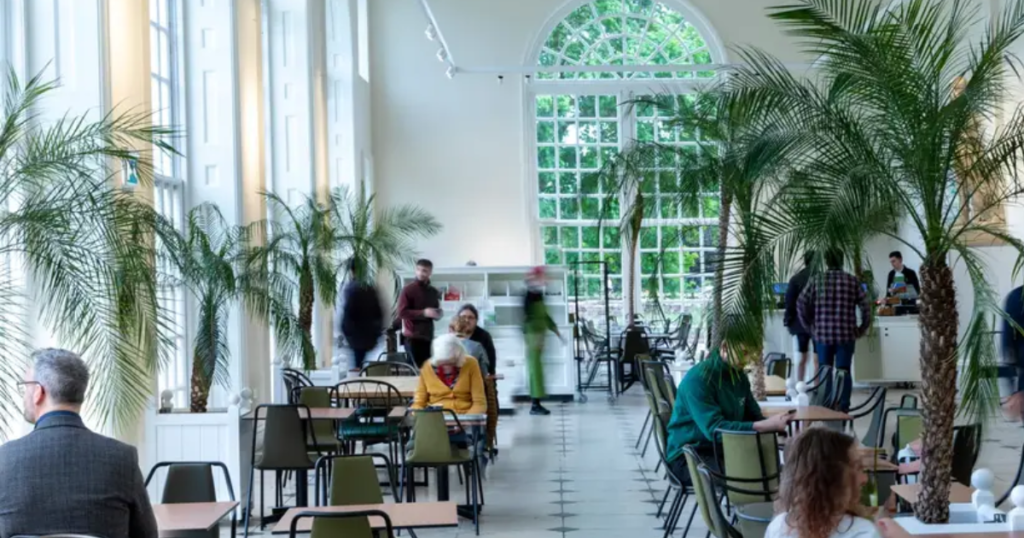 Orangery – A Cozy Spot for Lunch or Coffee