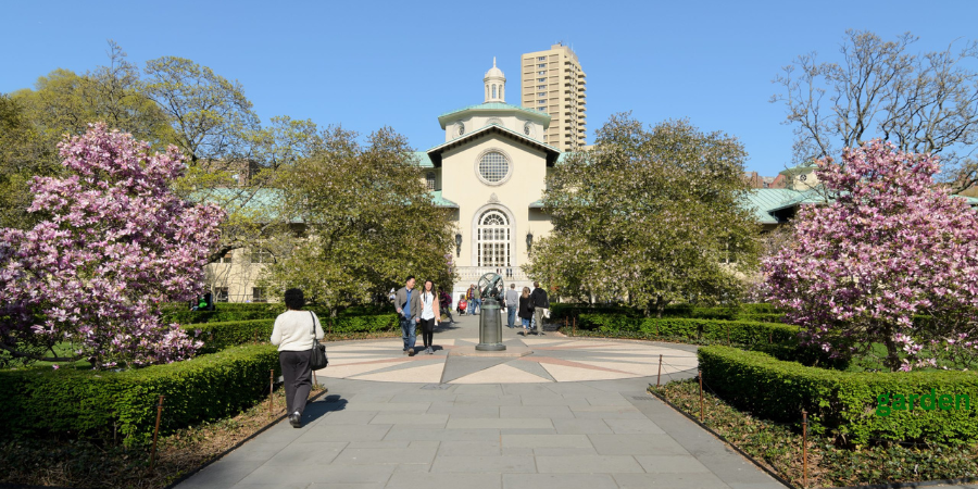 The Charm of the Brooklyn Botanic Garden