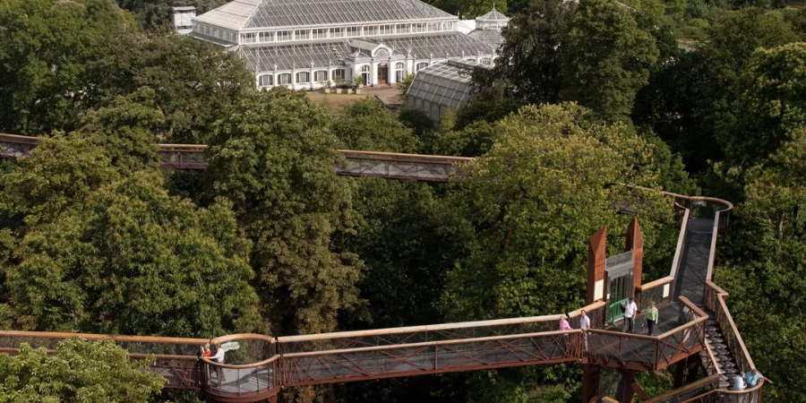 The Treetop Walkway