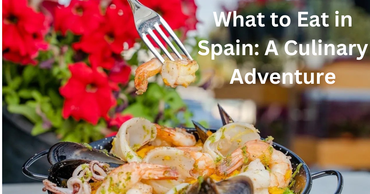 What to Eat in Spain: A Culinary Adventure